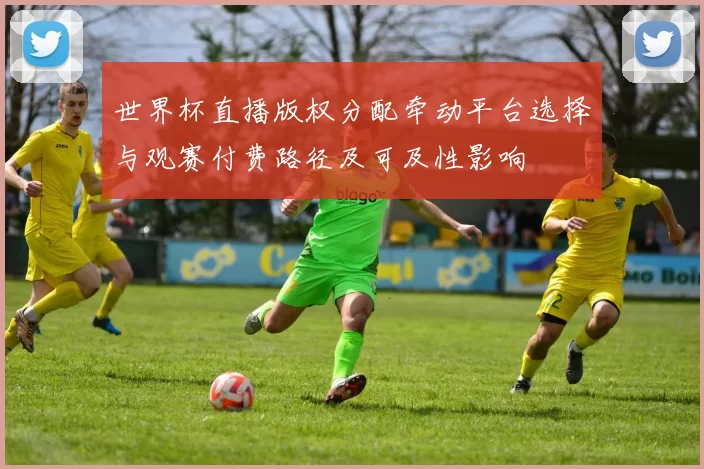 世界杯直播版权分配牵动平台选择与观赛付费路径及可及性影响