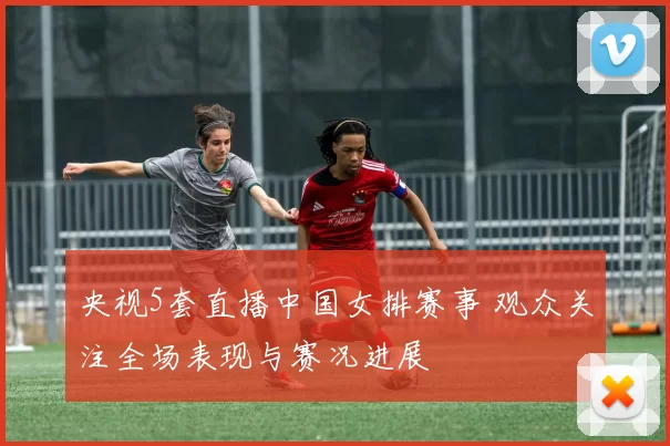 央视5套直播中国女排赛事 观众关注全场表现与赛况进展