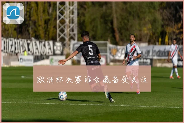欧洲杯决赛谁会赢备受关注