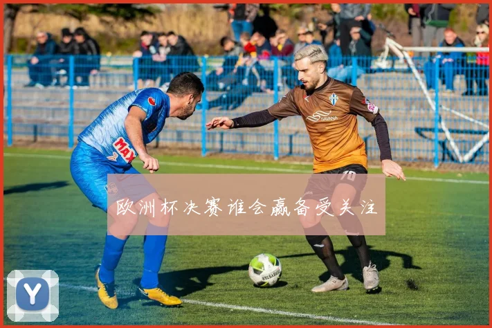 欧洲杯决赛谁会赢备受关注
